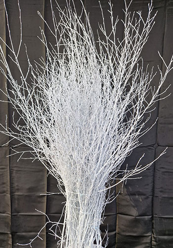 4/5ft white painted Birch bundle