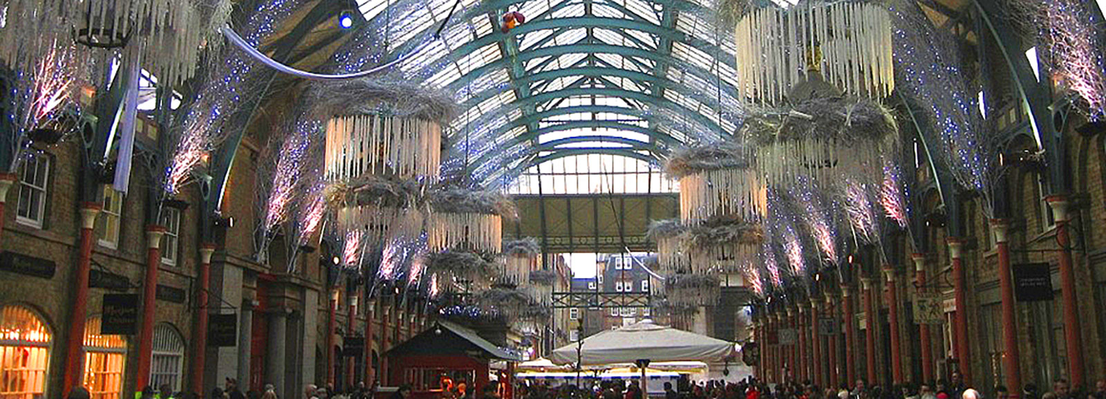 Coloured Birch Direct Decorative twigs & branches