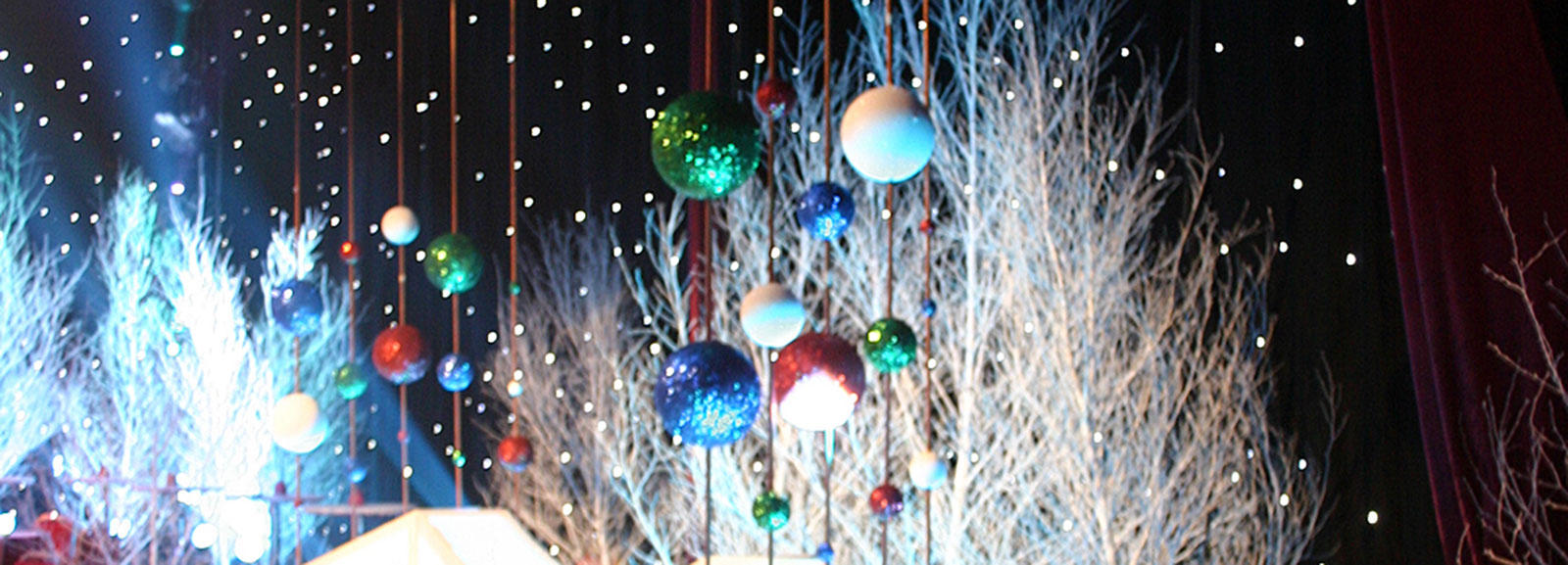 Coloured Birch Direct Decorative twigs & branches